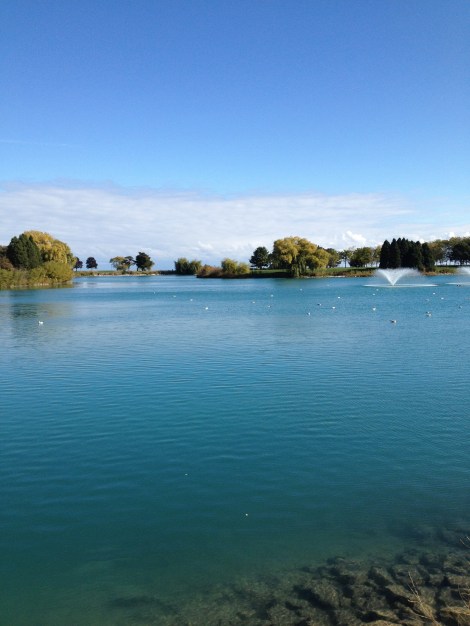 10464970425_d6743c26eb_h